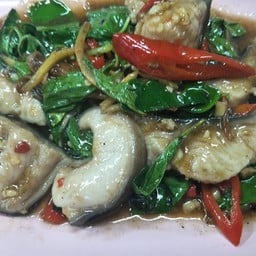 เนื้อปลาคังผัดฉ่า