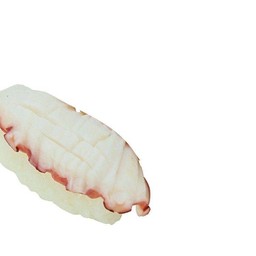 ปลาหมึกยักษ์ Octopus sushi