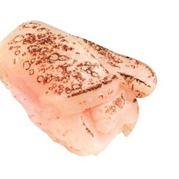 หอยเชลล์(ย่าง) Scallop sushi (Seared)