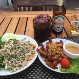 Coconut Garden