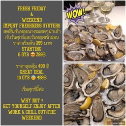 12 Oysters promotion