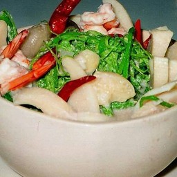 ผักเหมียงต้มกะทิยอดมะพร้าวอ่อนกุ้งสด