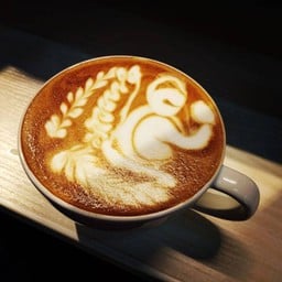 Mountaineer Coffee Roasters