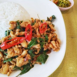 กะเพรา  ไก่