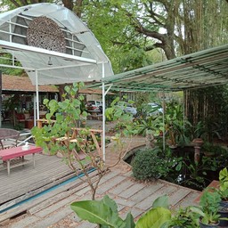 มุมร่มรื่นหลังร้าน