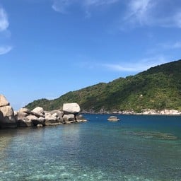 น้ำใสไหลเย็นเห็นตัวปลา