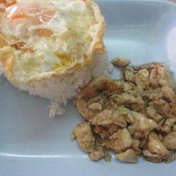 ไก่กระเทียมไข่ดาว rice+chicken garlic + fried egg