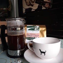 คอฟฟี่ " ดี " ( พันธุ์หมาบ้า บลูส์รีรัมย์ ) บุรีรัมย์