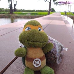 แม่สามปลื้ม