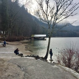 Schloss Hohenschwangau