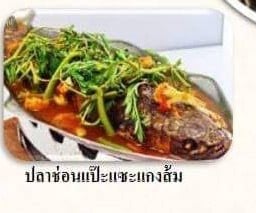 ปลาช่อนแป๊ะซะ