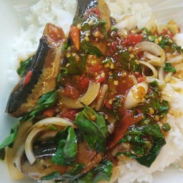 ข้าวกระเพราเด็กหอ