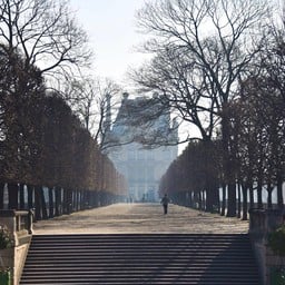 Jardin de Tuileries
