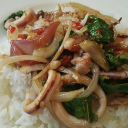 ข้าวกระเพราปลาหมึก