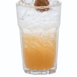 Plum Soda