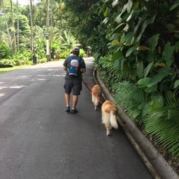Singapore Botanic Gardens