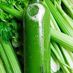 Celery juice by kanoksecret