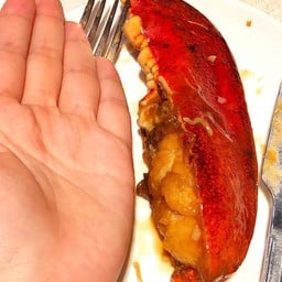 ตัวใหญ่ ก้ามใหญ่มาก สดมากๆ