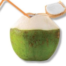 น้ำมะพร้าว Coconut Juice