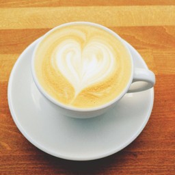 Nylon Coffee Roaster