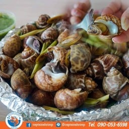 หอยหวานใหญ่ ครึ่งโล