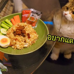 บรรจงลงจาน ให้ดูมีสกุลรุนชาติ ยังมีหมูซ่อนอยู่อีก คุ้ยขึ้นมาโปะพอให้ดูมีดีไซน์