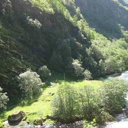 วิวระหว่างทางรถไฟ