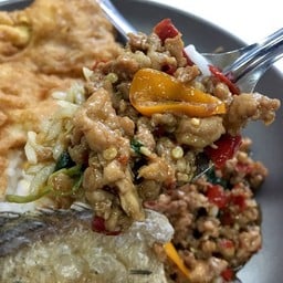 ข้าวแกง อปร