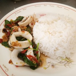 ข้าวกระเพราหมึก