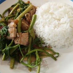 ข้าวกระเฉดหมูกรอบ