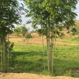 อโรคยาศาล