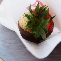 Cafe Zupas Ridgedale