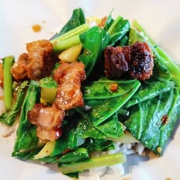 ข้าวราดผักคะน้า