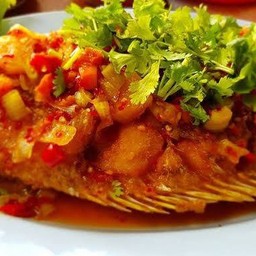 ปลาทับทิมสามรส