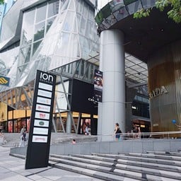 ION Orchard