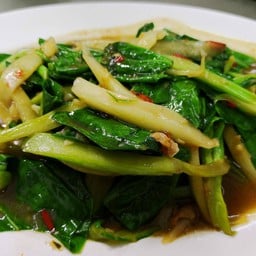 คะน้าไฟแดง