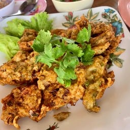ปักษ์ใต้ สุโขทัย
