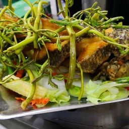 ปลาช่อน แป๊ะซะ