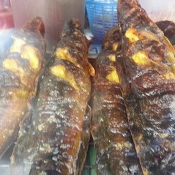 ปลาดุกย่าง