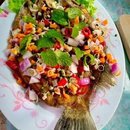 ณ.หน่อไผ่ ทุ่งยั้ง