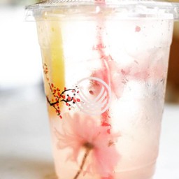 Sakura Lemonade.
