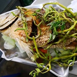 แกงส้มปลากะพง