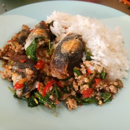 ข้าวกระเพราไข่เยี่ยวม้าหมูสับ