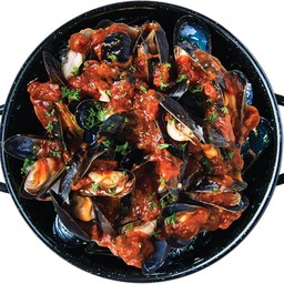 TOMATO SAUCE