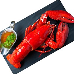 Steamed Lobster