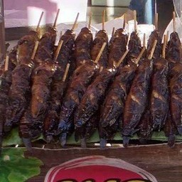 ปลาดุกย่าง