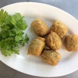 หอยจ้อปู