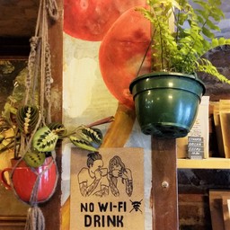 ไม่มี wifi นะจ๊ะ