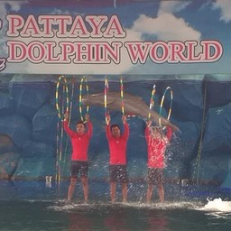 Pattaya Dolphin World