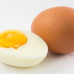ไข่ต้ม